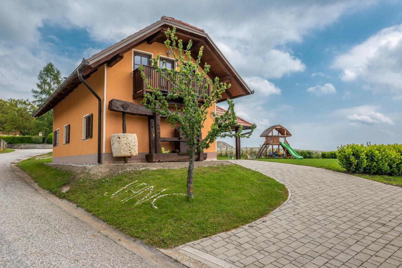Villa Wineyard Getaway House Sevnica Exterior foto