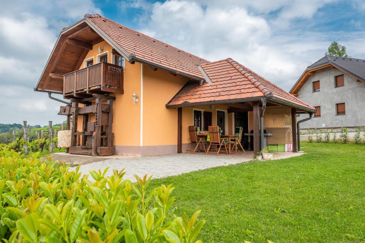 Villa Wineyard Getaway House Sevnica Exterior foto